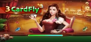 3 Card Fly app overview
